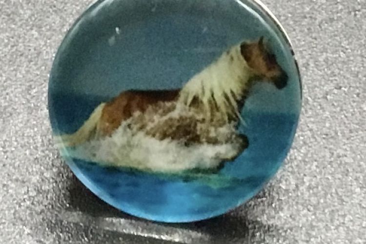 Bouton pression cheval