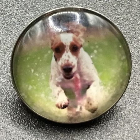Bouton pression chien