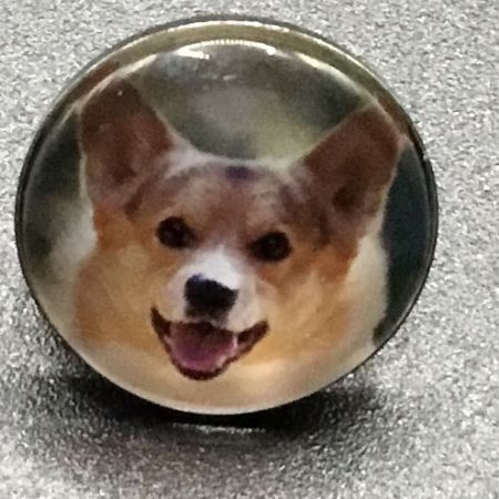 Bouton pression chien
