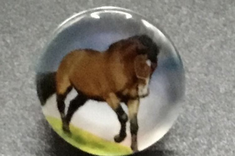 Bouton pression cheval