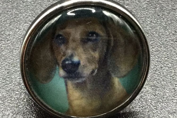 Bouton pression chien