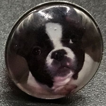 Bouton pression chien