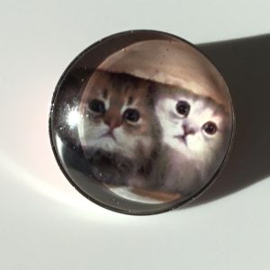 Bouton pression chat