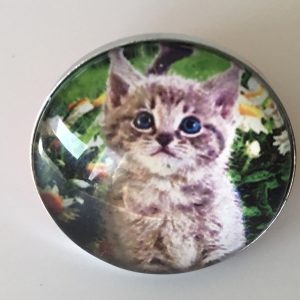 Bouton pression chat