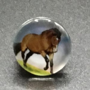 Bouton pression cheval