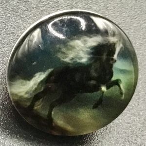 Bouton pression cheval