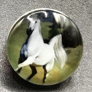 Bouton pression cheval