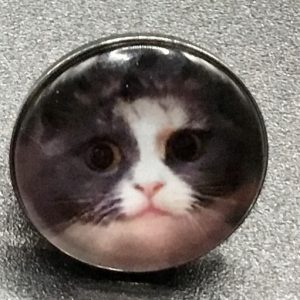Bouton pression chat