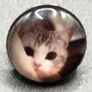 Bouton pression chat