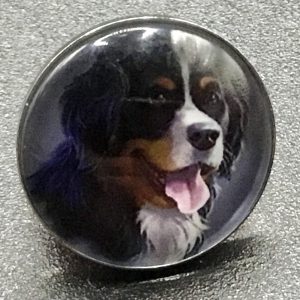 Bouton pression chien