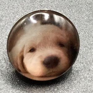 Bouton pression chien