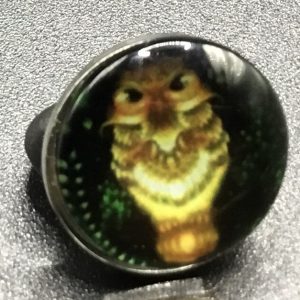 Bouton pression hibou