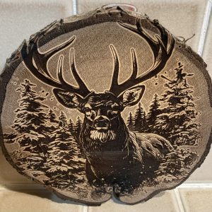 ROND DE BOIS - CERF DANS LA FORET ENNEIGE