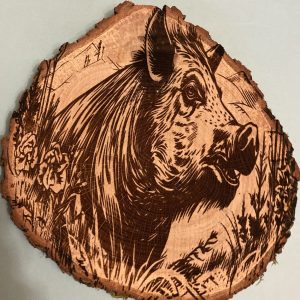 ROND DE BOIS - SANGLIER